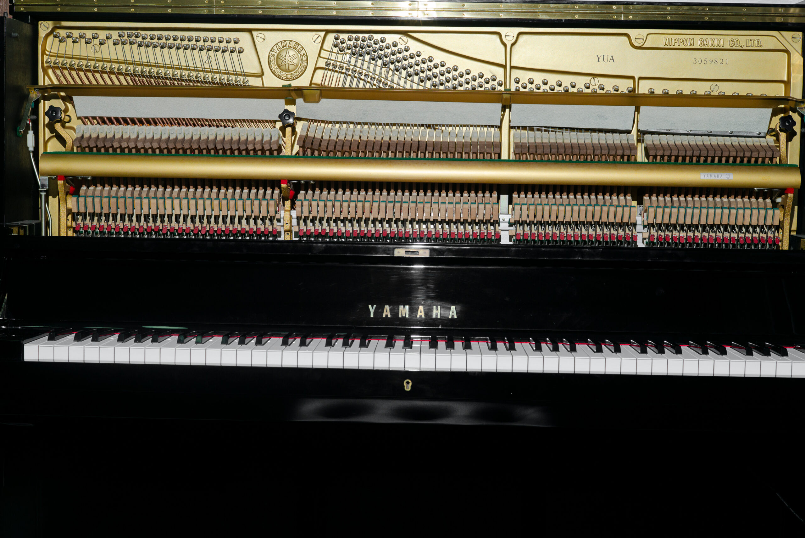 L1000140