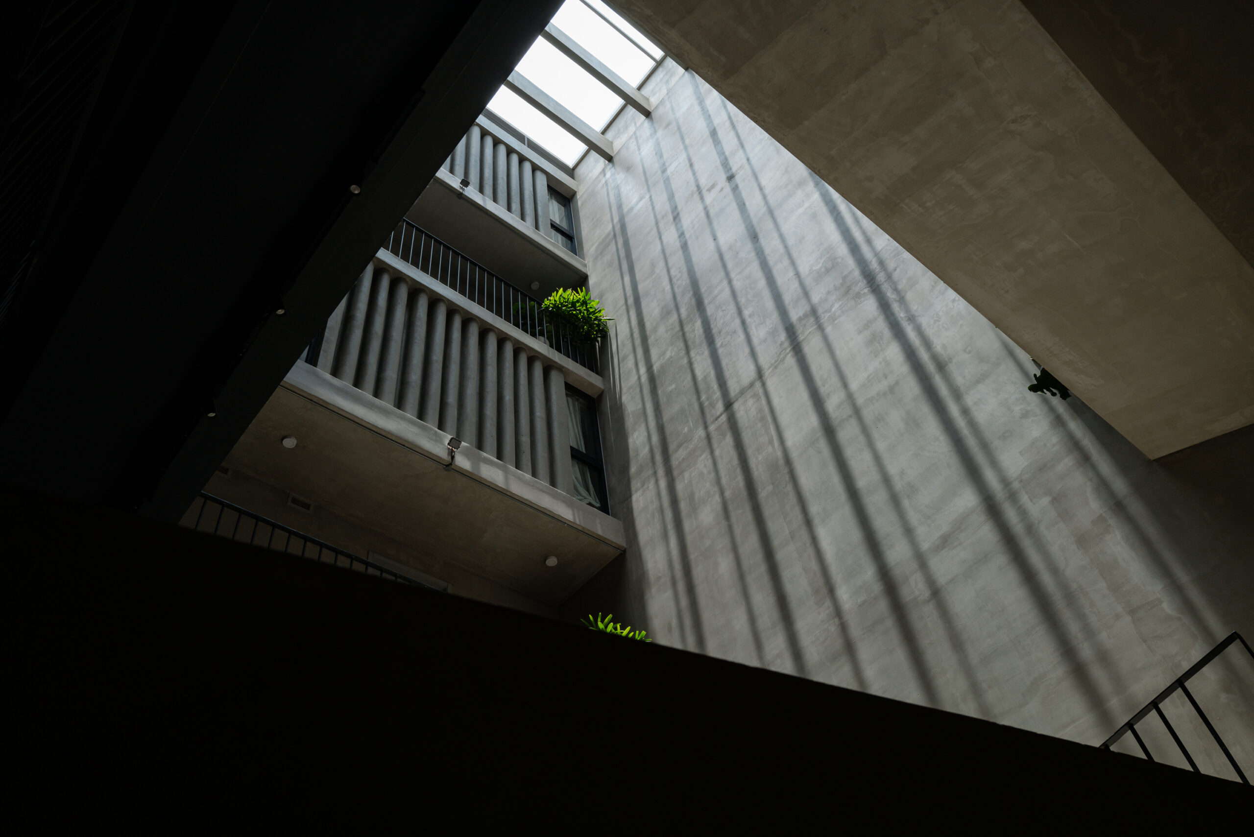 L1010036 L1010036